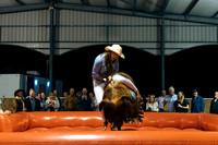 Bull Riding