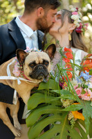 Formals II
