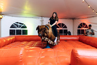 Bull Riding